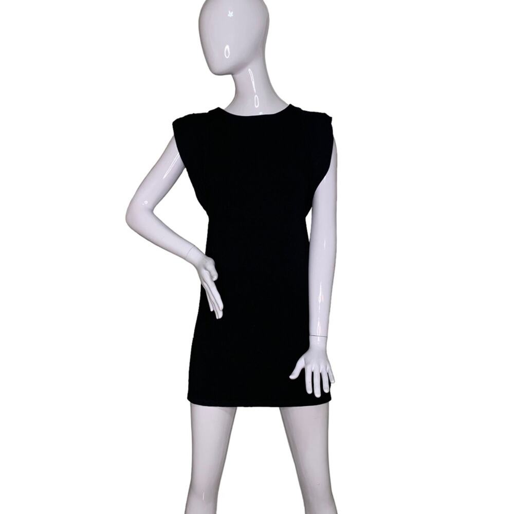 Express Mini Dress Sleeveless Full Lining Hidden Zipper on Back Size XS